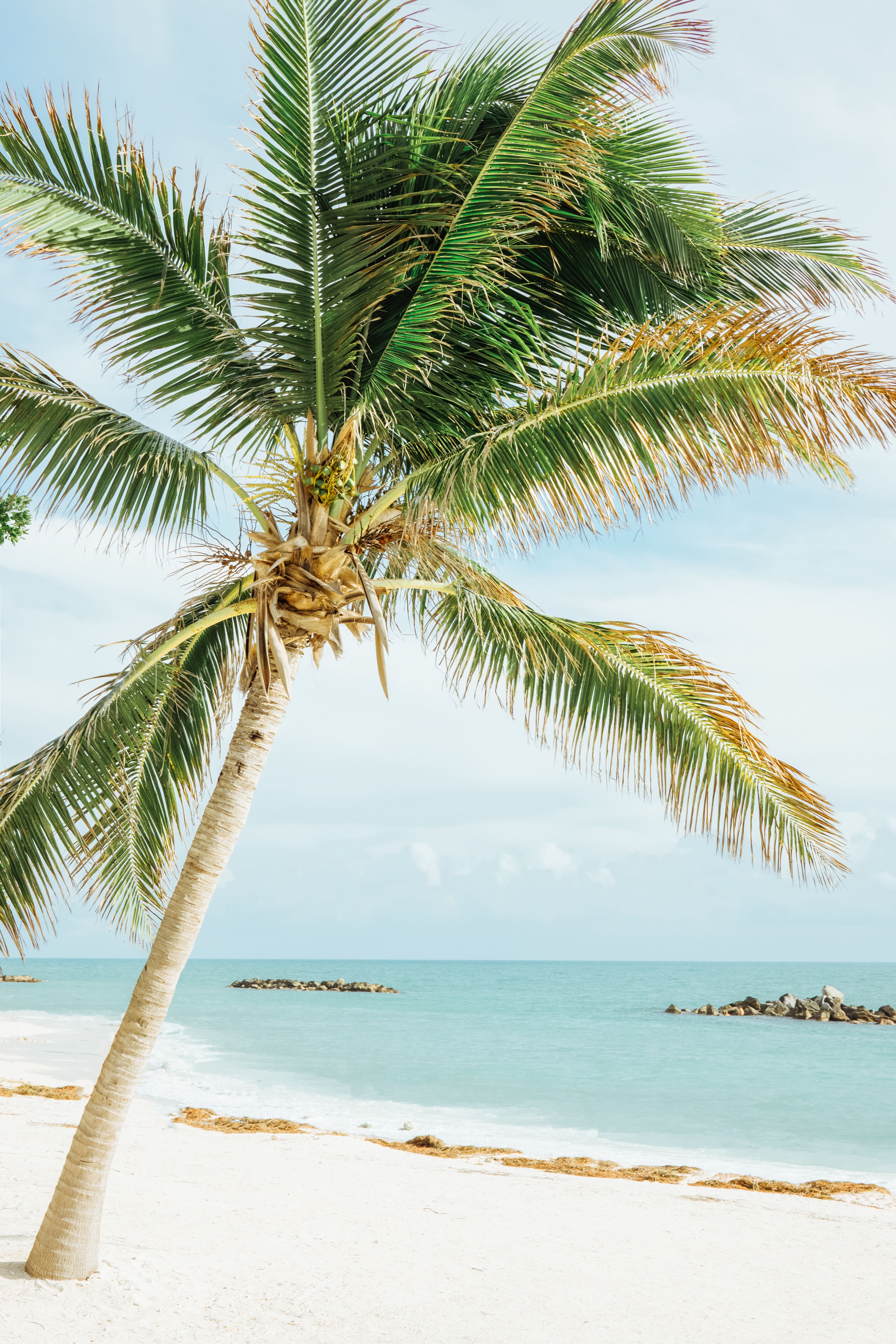 Cape Coral Beach